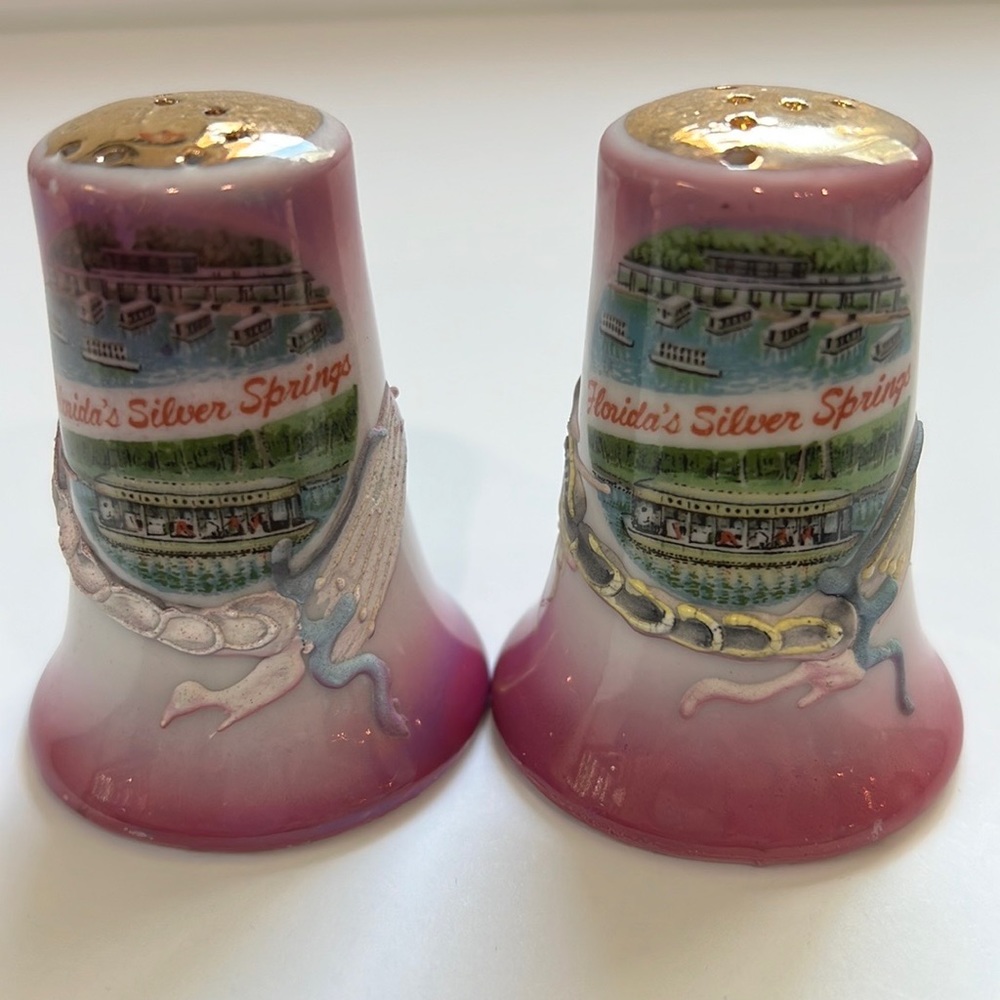 Fun retro vintage Florida’s Silver Springs souvenir salt & pepper shakers.